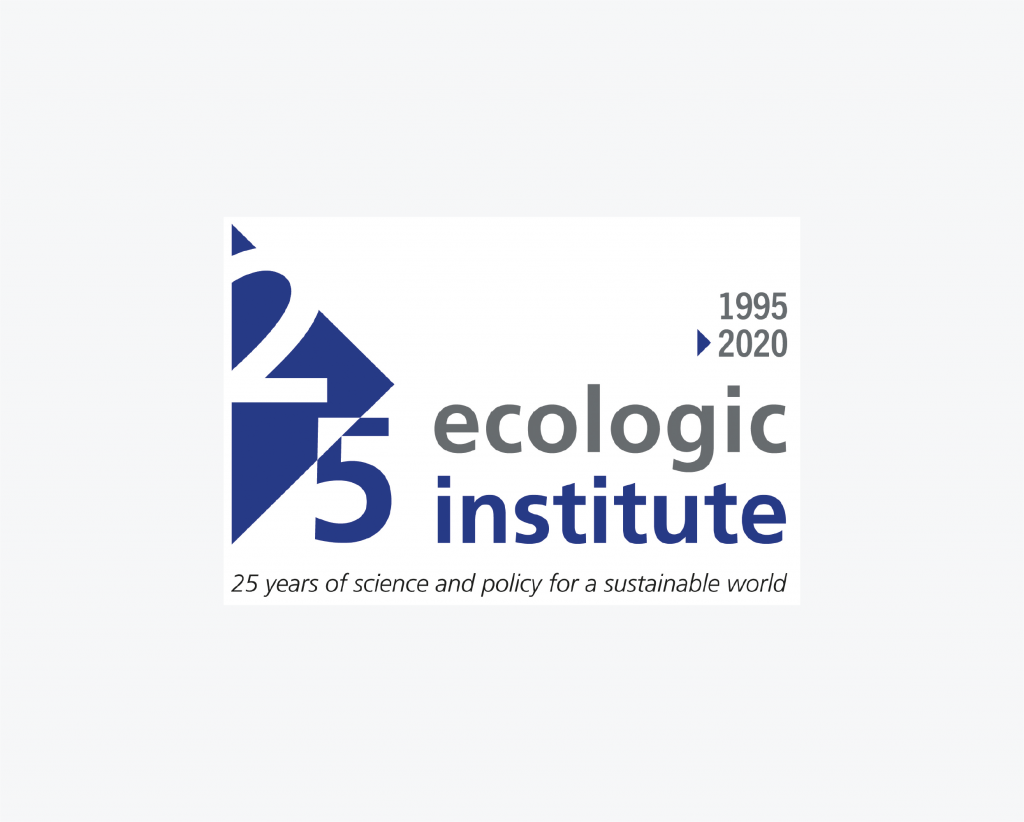 ecologic institute logo